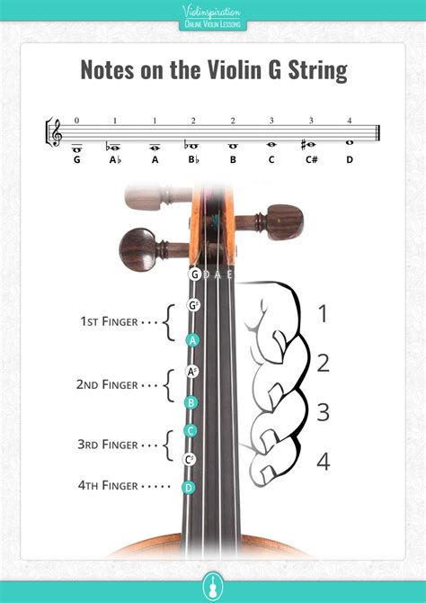Violin Notes Tutorial .